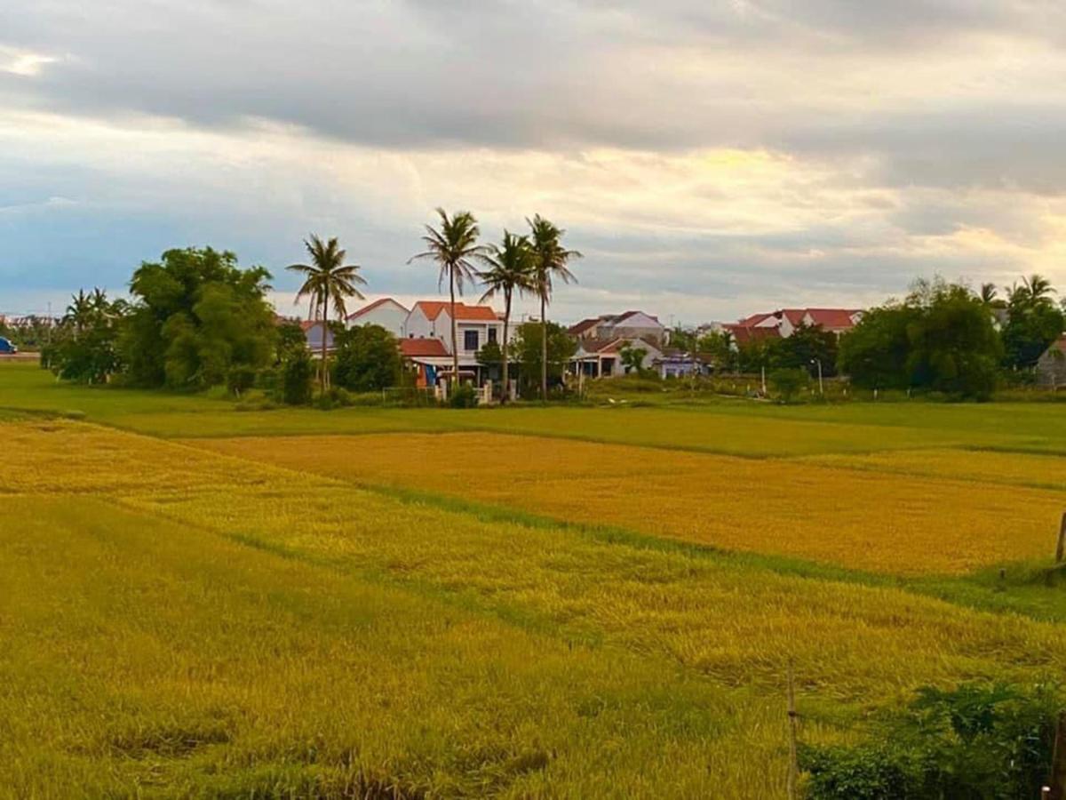 Hoi An Paddy House Homestay Exterior photo